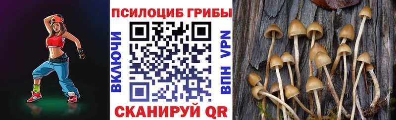 Псилоцибиновые грибы Psilocybine cubensis  Щёкино 